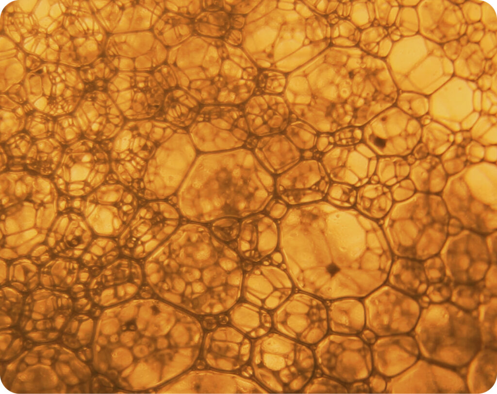 Fermentación sumergida